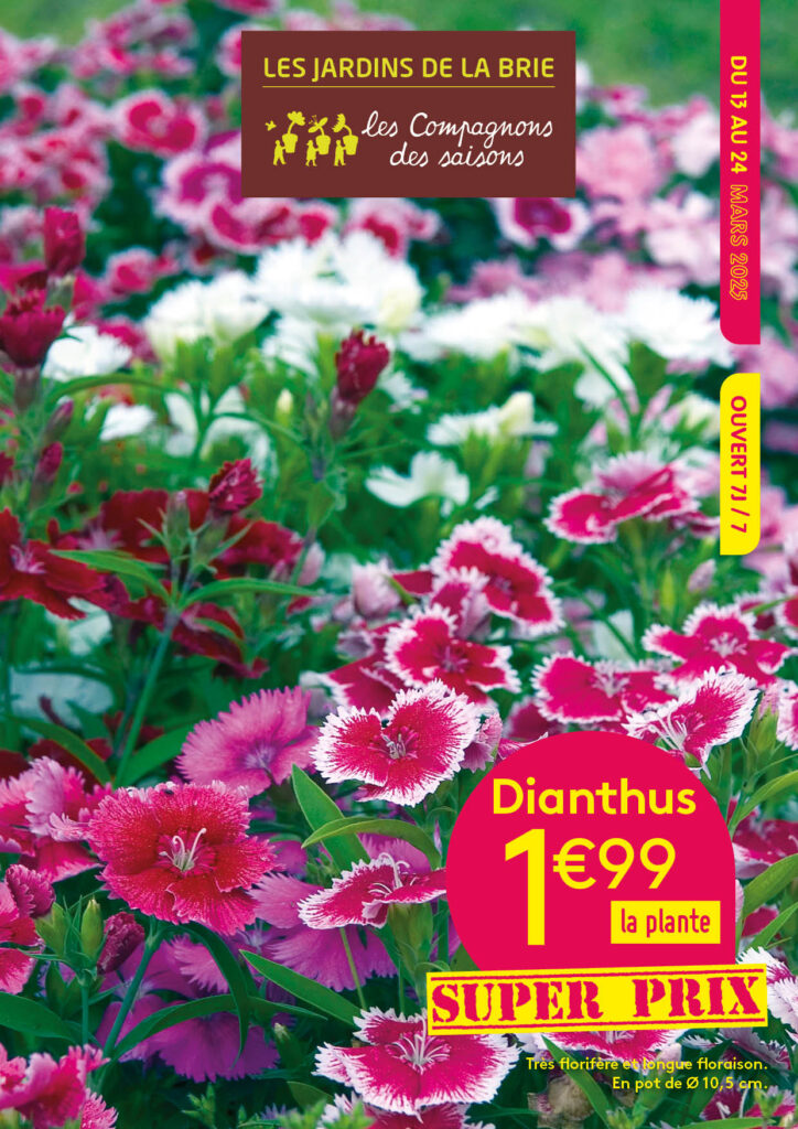 verdir vos envies