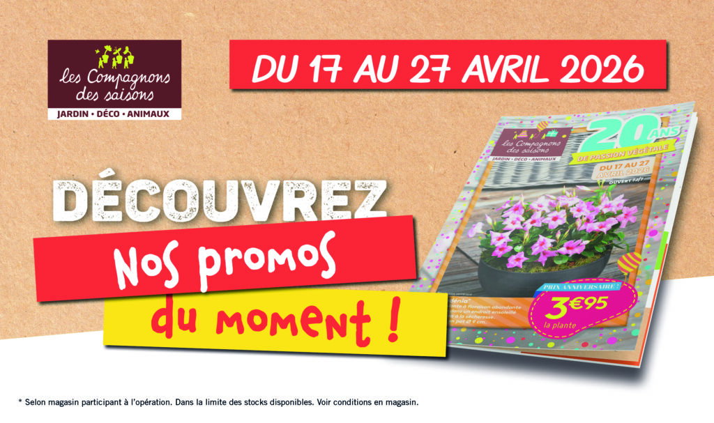 promos plantes printemps fleurs potager tombola promos plantes printemps fleurs potager tombola
